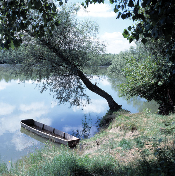 Nature Conservation Area of Töreki